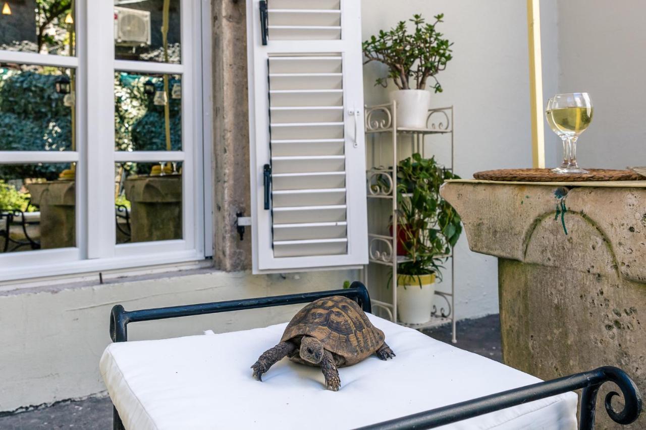 Perfetto Perasto Residence Zewnętrze zdjęcie