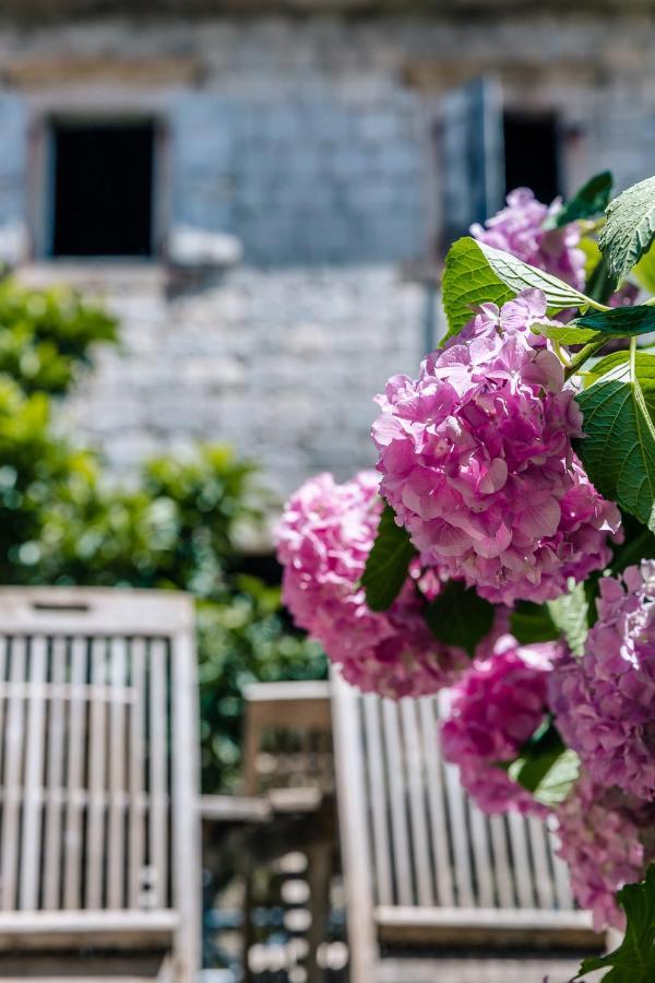 Perfetto Perasto Residence Zewnętrze zdjęcie
